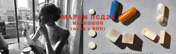 твердый Арсеньев