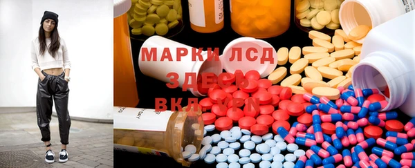 твердый Арсеньев