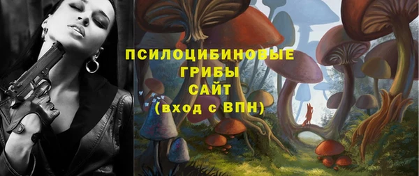 винт Балахна