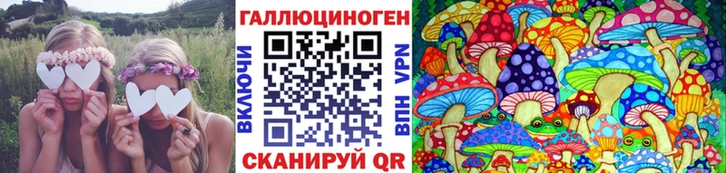 Галлюциногенные грибы Magic Shrooms  Балтийск 