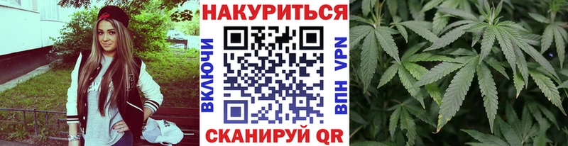 darknet наркотические препараты  Балтийск  Бошки марихуана марихуана 